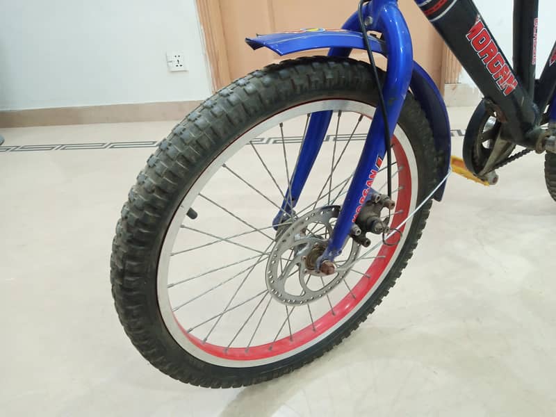Morgan cycle 3