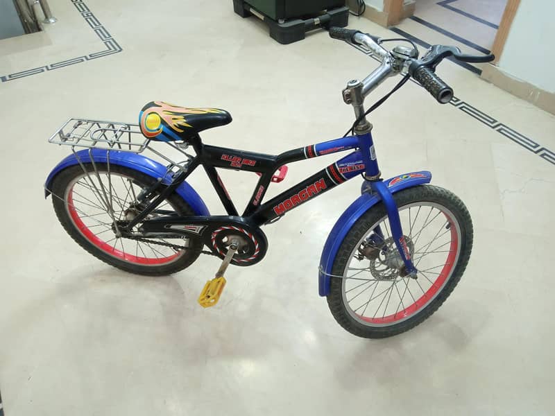 Morgan cycle 6