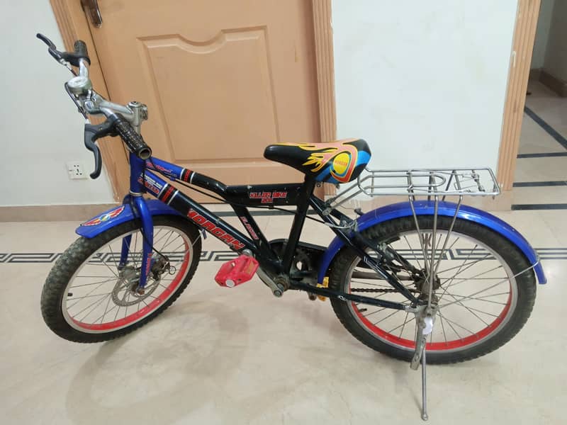 Morgan cycle 8