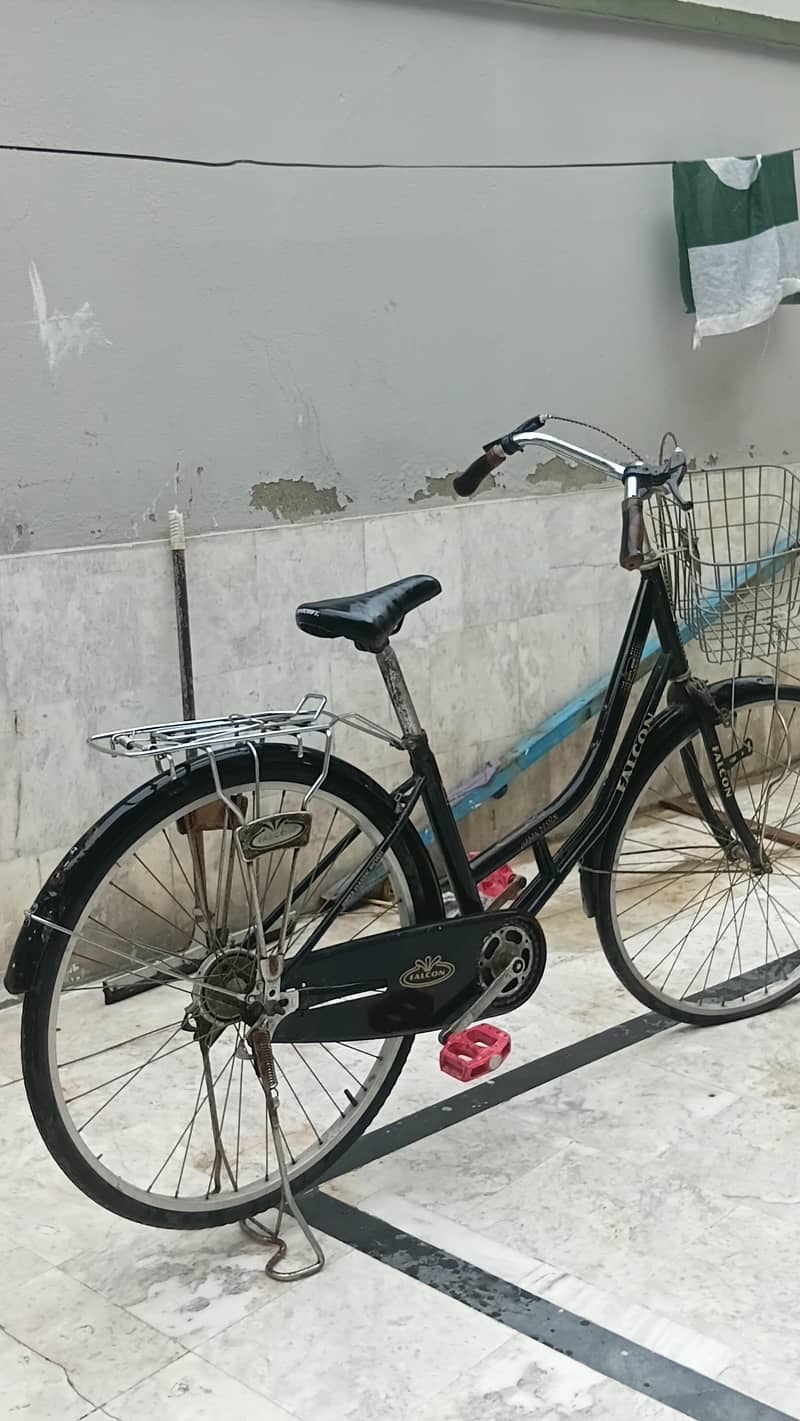 Japan cycle 1