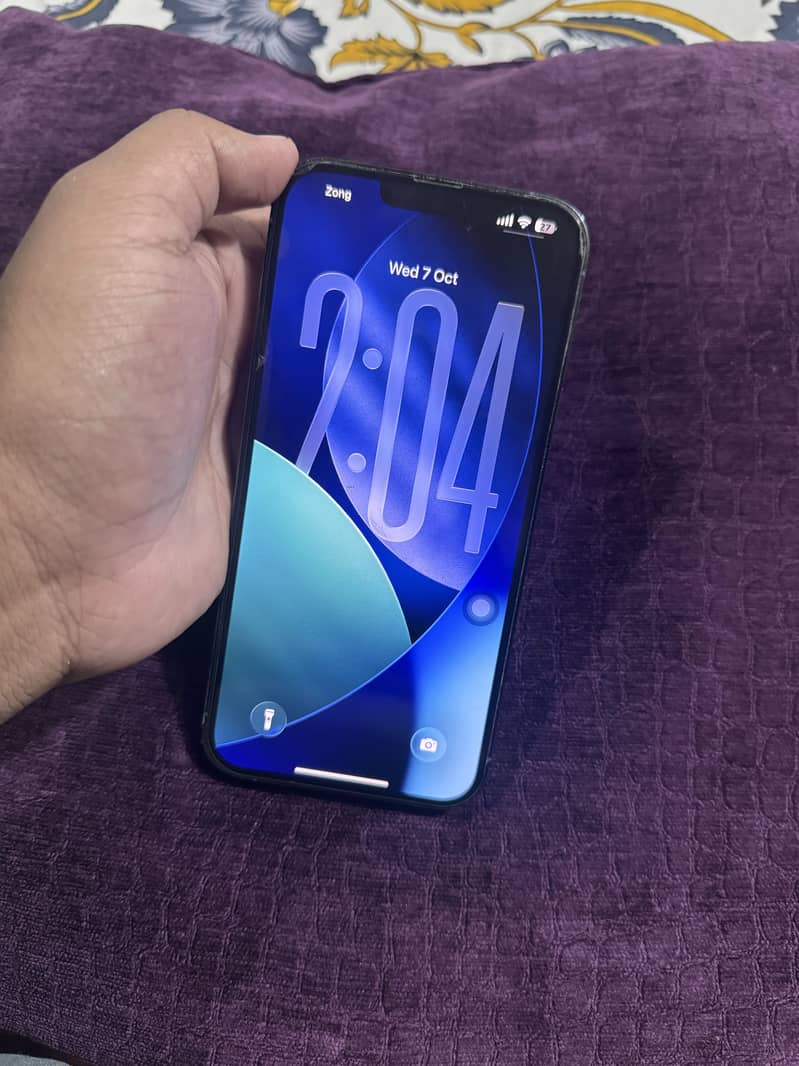 Apple iPhone 13 Pro Max 1