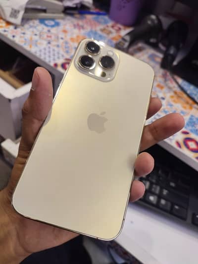 Apple iPhone 13 Pro Max