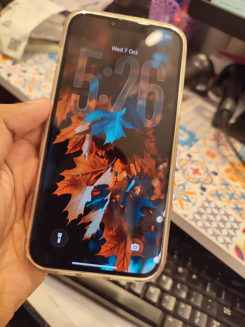 Apple iPhone 13 Pro Max 1