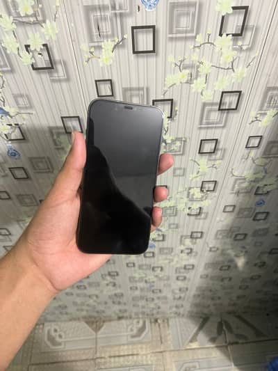 Apple iPhone 12 Pro Max JV