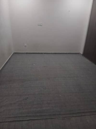 Carpet For Sale – Hall + 2 Rooms | Good Condition