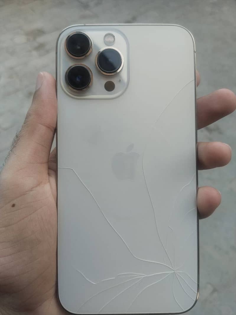 Apple iPhone 13 Pro Max 1