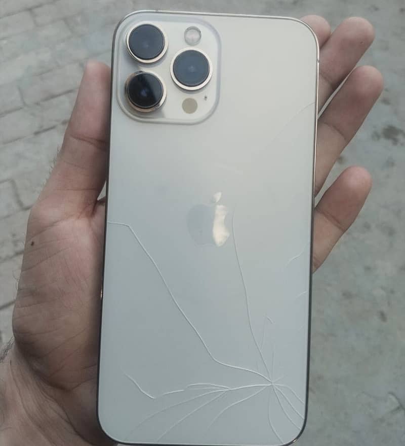 Apple iPhone 13 Pro Max 2