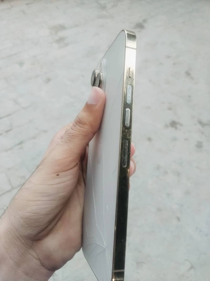 Apple iPhone 13 Pro Max 4