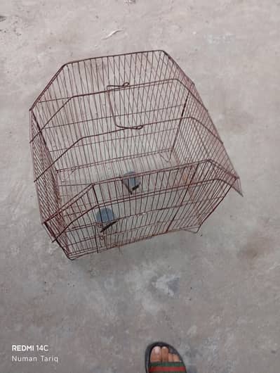 bird cage