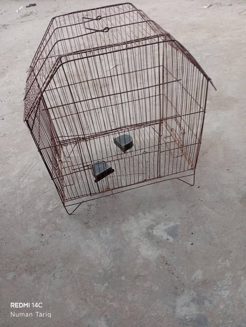 bird cage 1