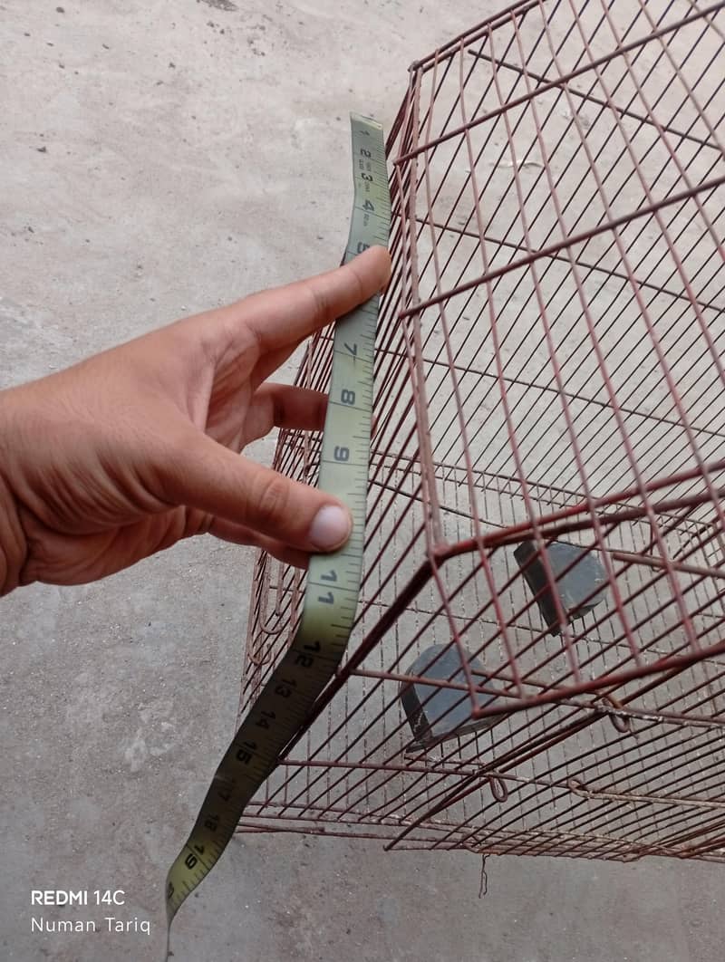 bird cage 3