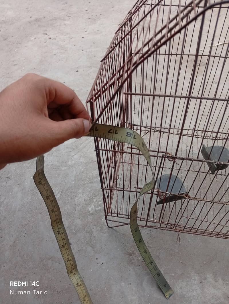 bird cage 4