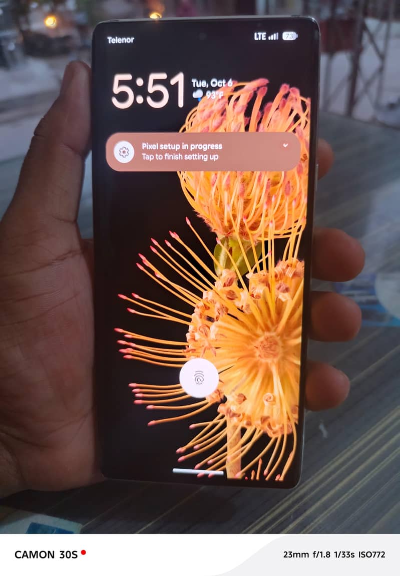Google Pixel 6 Pro 1