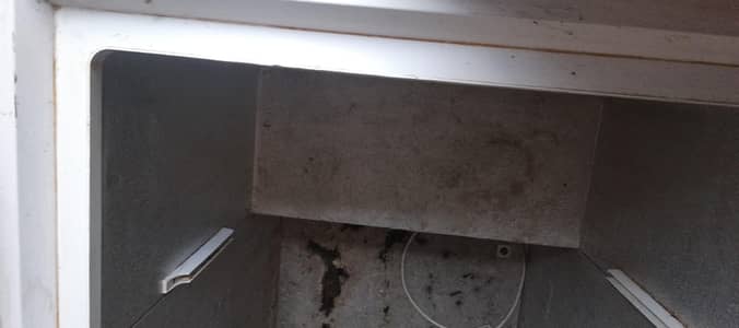freezer