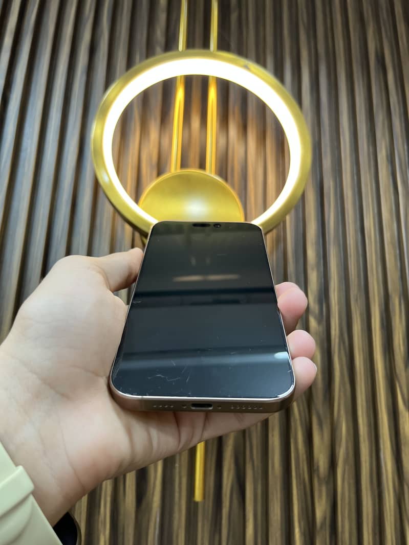 Apple iPhone 16 Pro Max 1