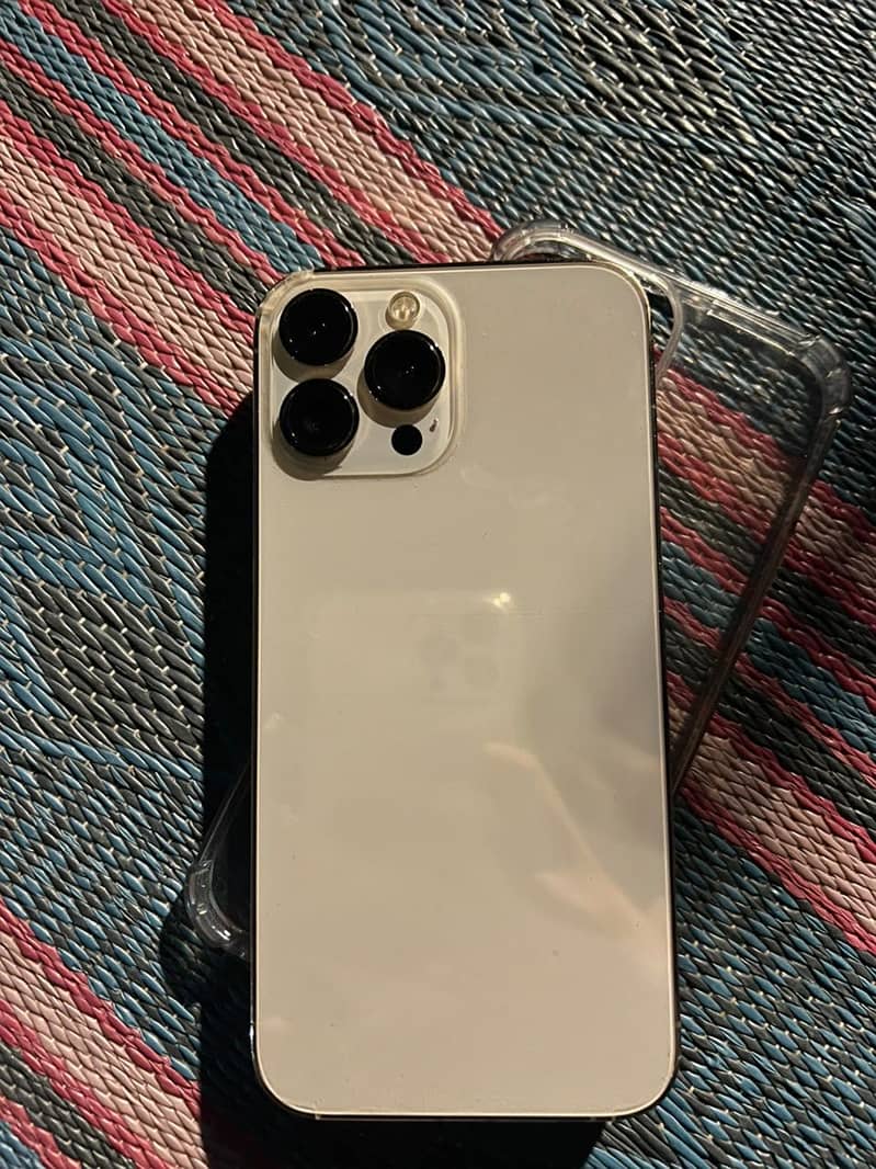Apple iPhone 13 Pro Max 1