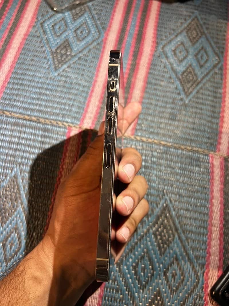 Apple iPhone 13 Pro Max 3
