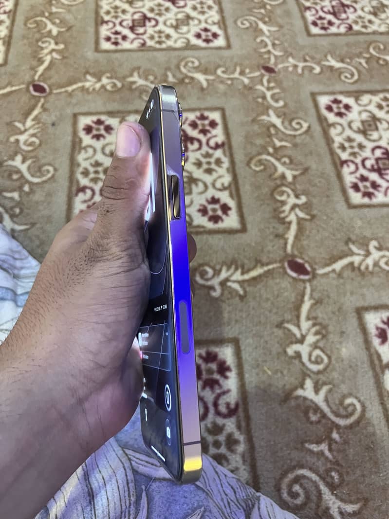Apple iPhone 13 Pro Max 1