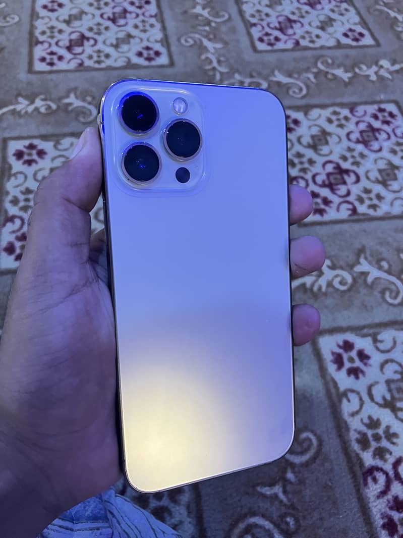 Apple iPhone 13 Pro Max 2