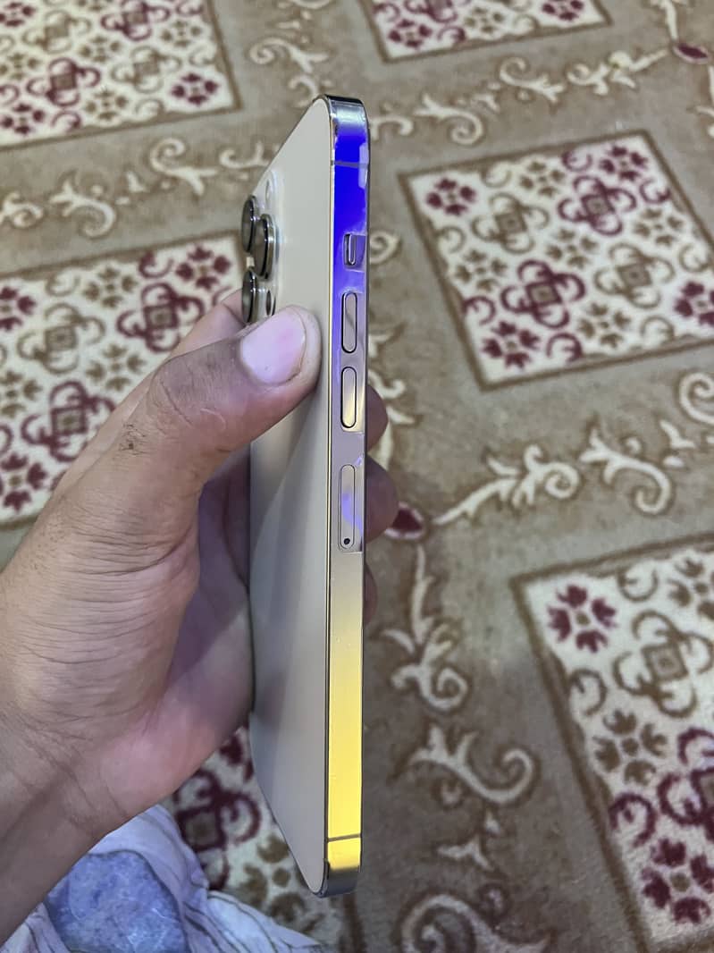 Apple iPhone 13 Pro Max 3