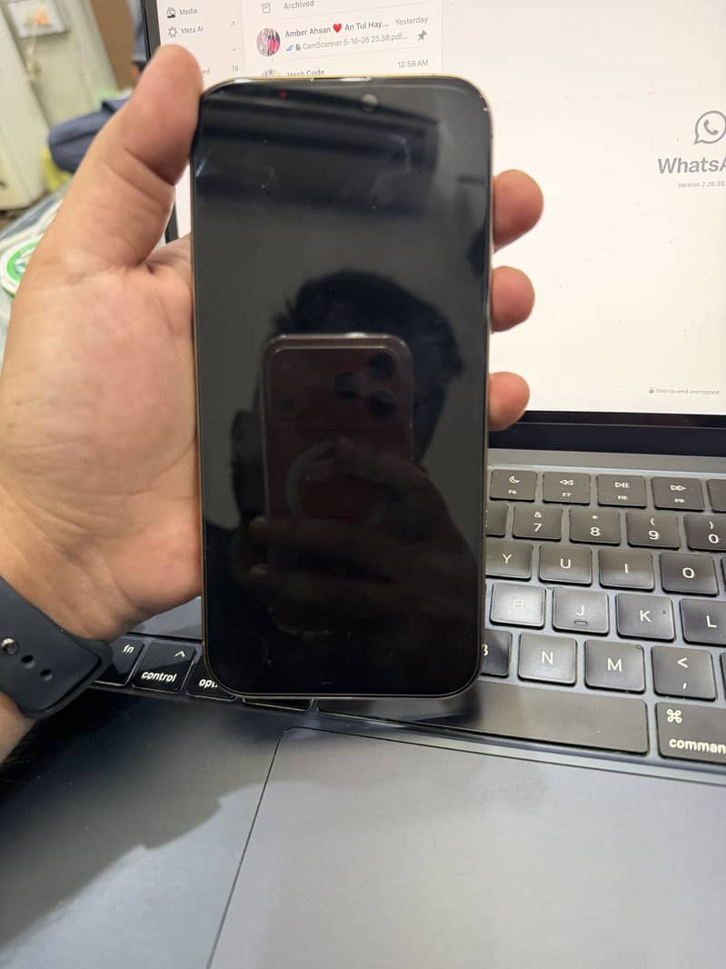 Apple iPhone 16 Pro Max 1