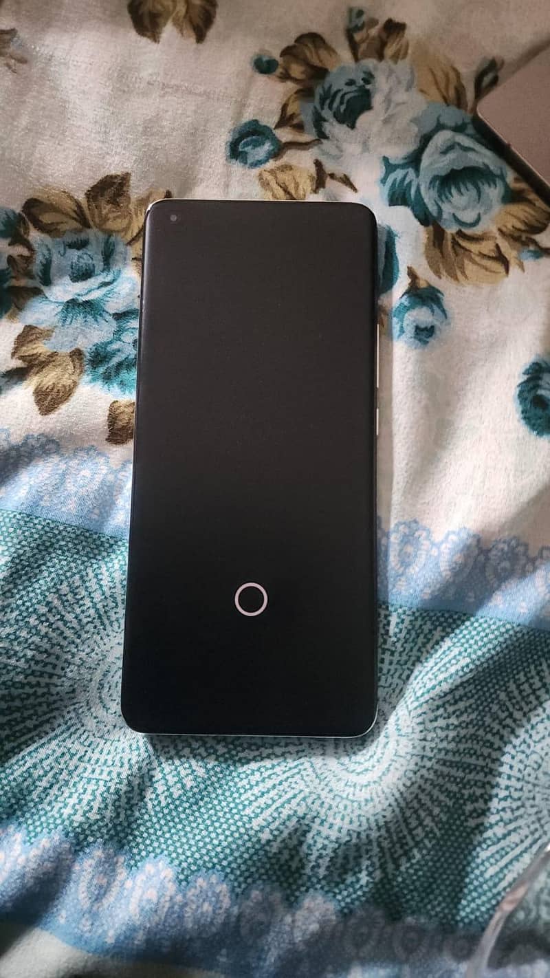 Xiaomi Other Model 1