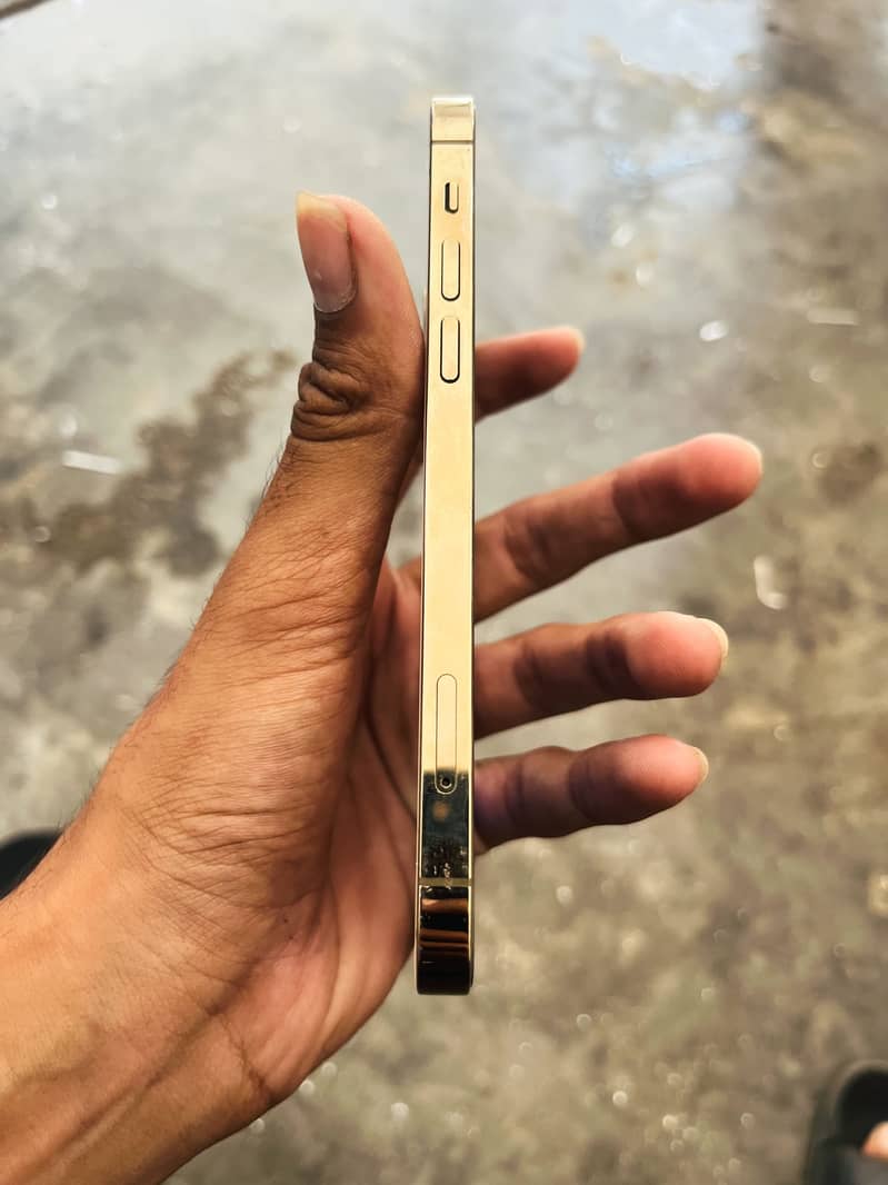 Apple iPhone 12 Pro 0
