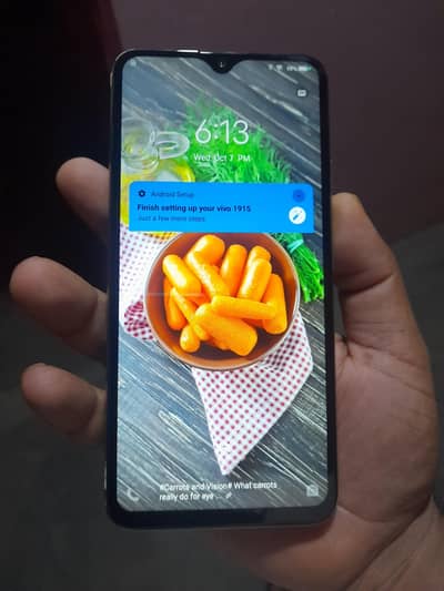 Vivo Y19 continues 10/9