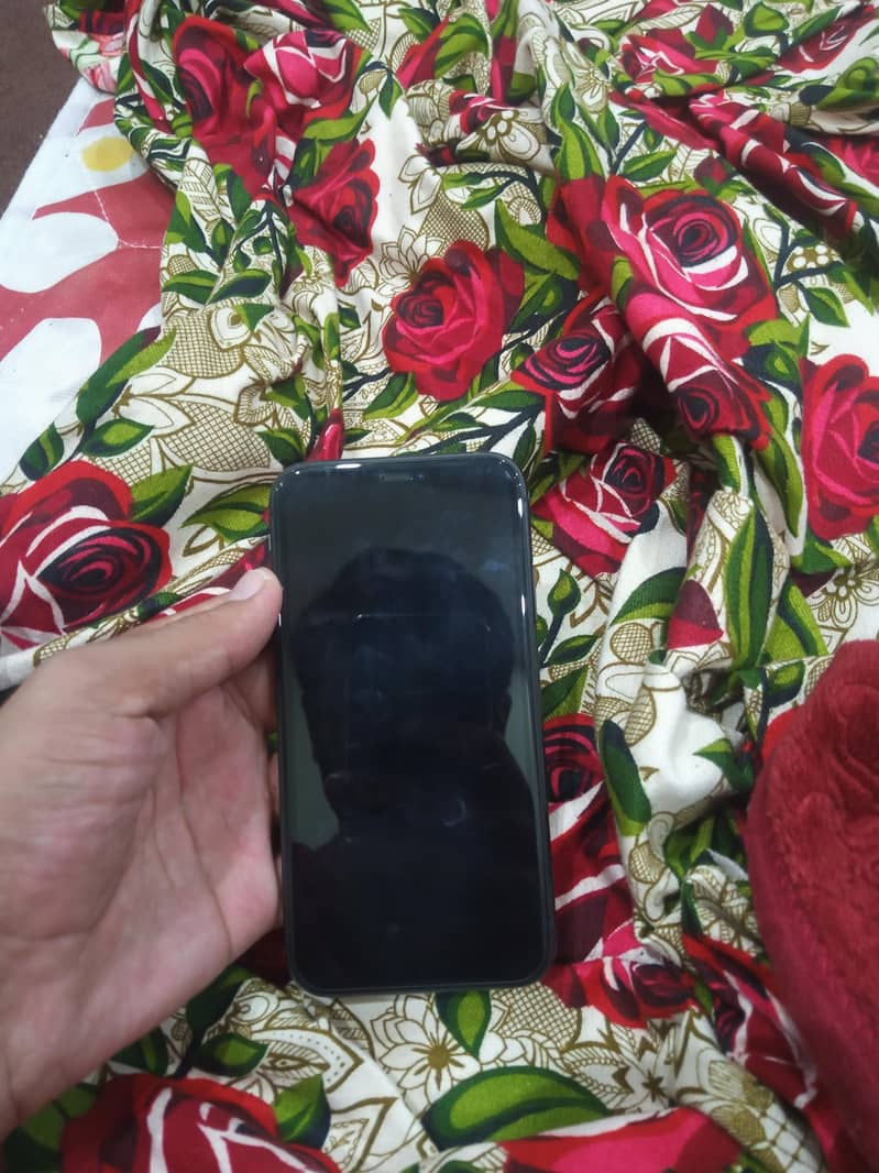 Apple iPhone 11 0