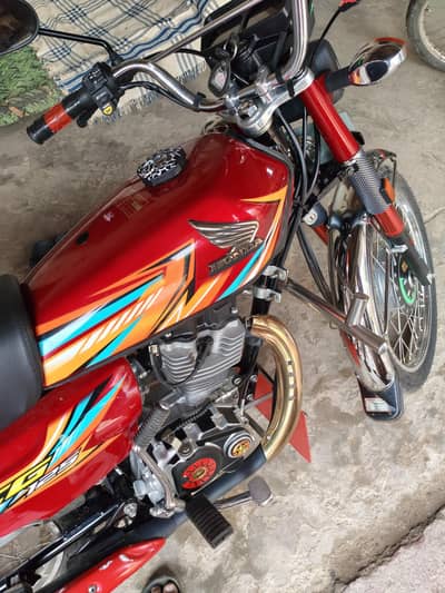 detail bio m