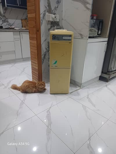 Enviro water dispenser in good condition.