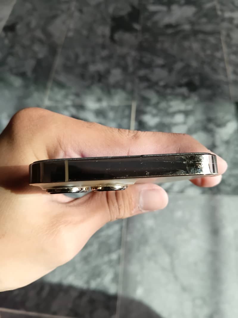 Apple iPhone 13 Pro 1