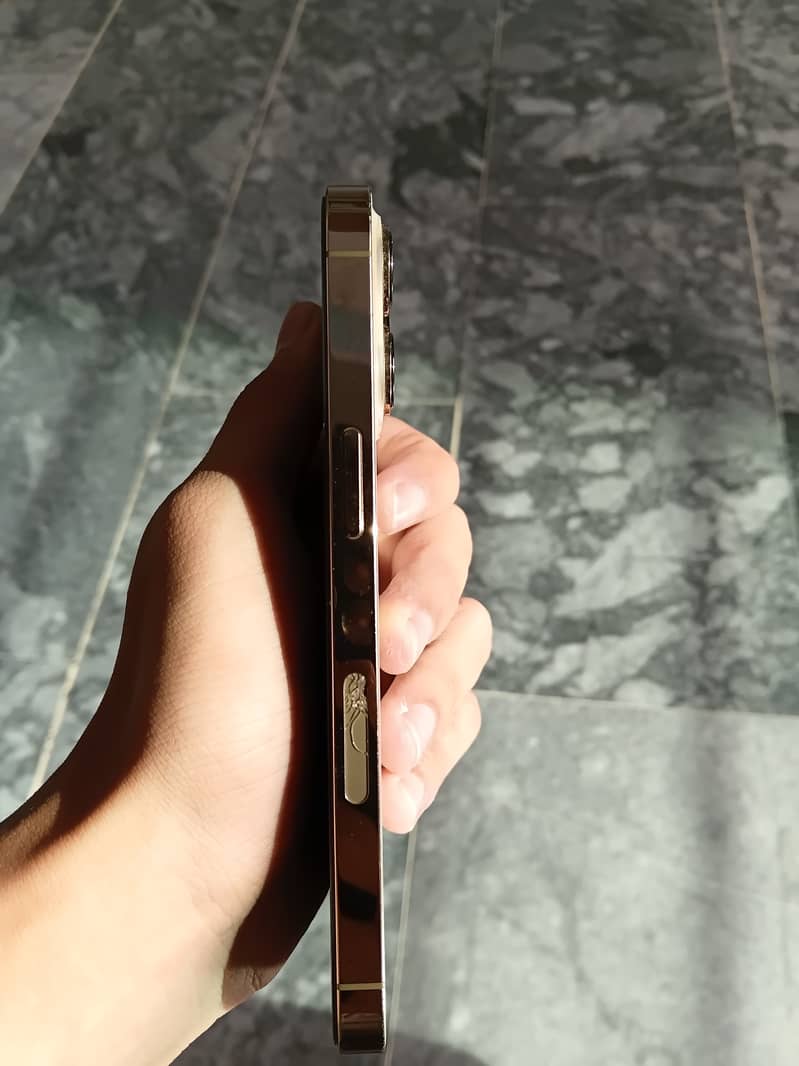 Apple iPhone 13 Pro 2