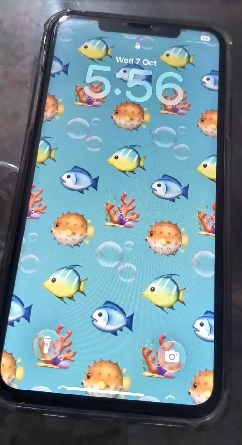 Apple iPhone 11 Pro Max 3