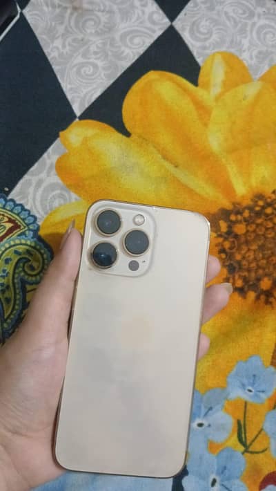 Apple iPhone 13 pro