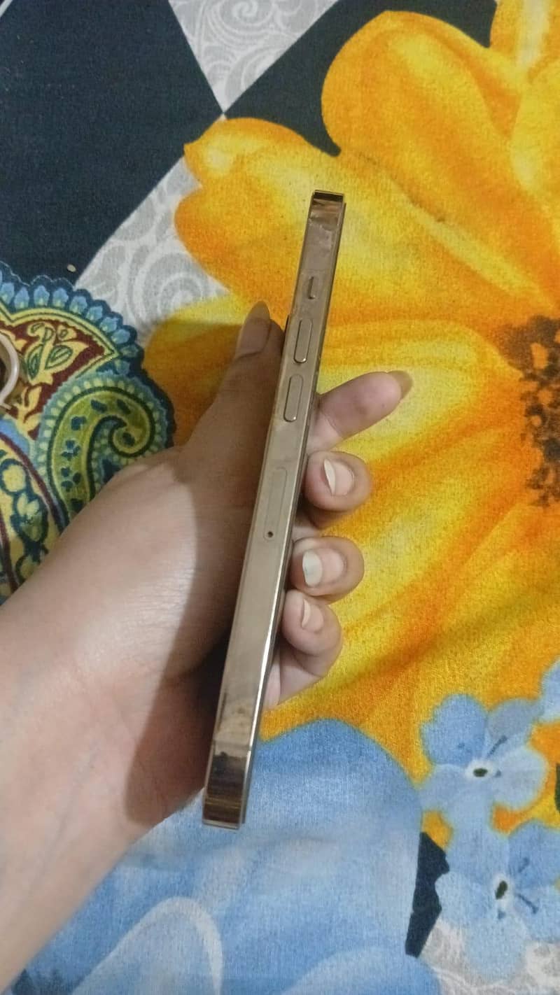 Apple iPhone 13 pro 4