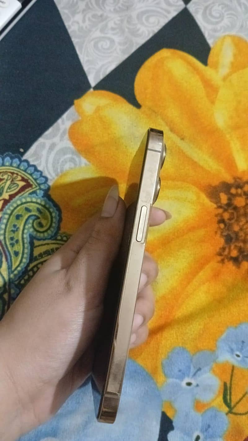 Apple iPhone 13 pro 6