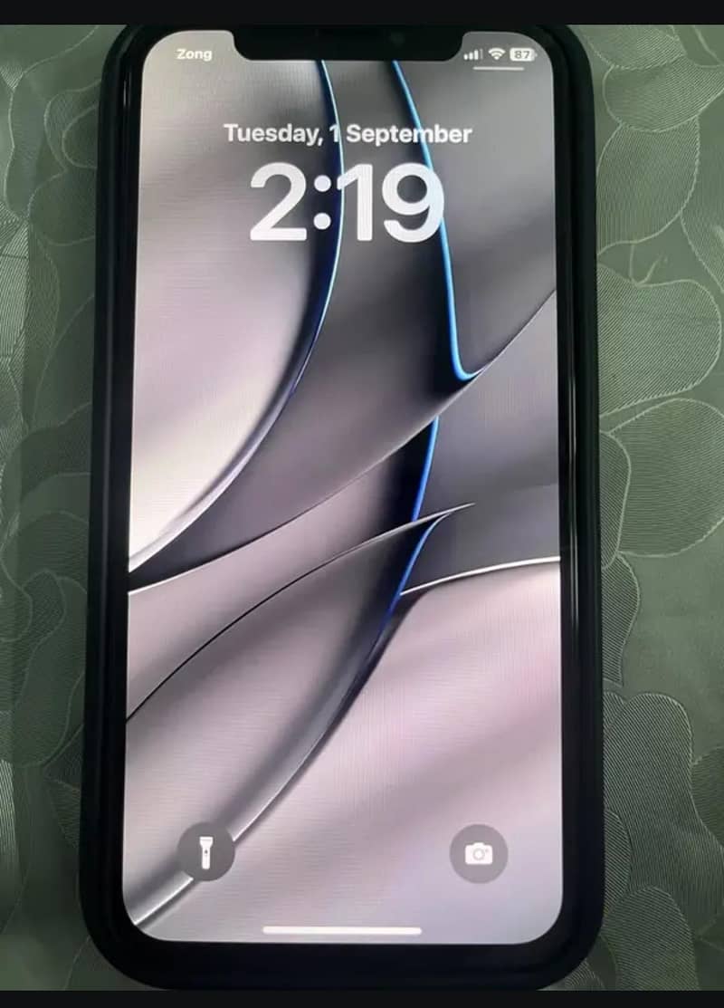 iPhone X Pta approved 1