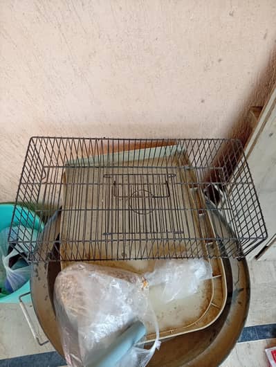 birds traveling cage