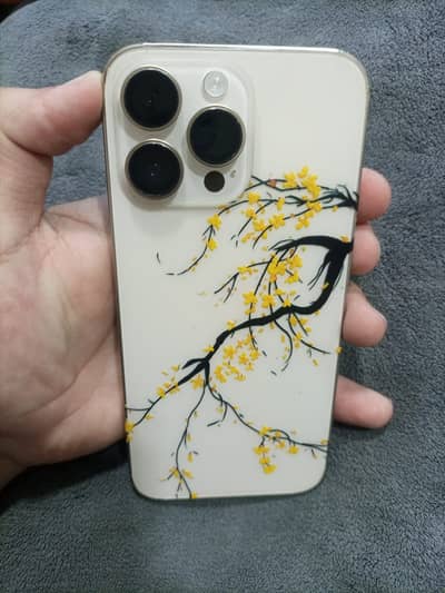 Apple iPhone 14 Pro Max Non pta