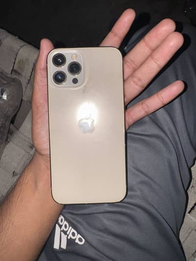 Apple iPhone 12 Pro Max