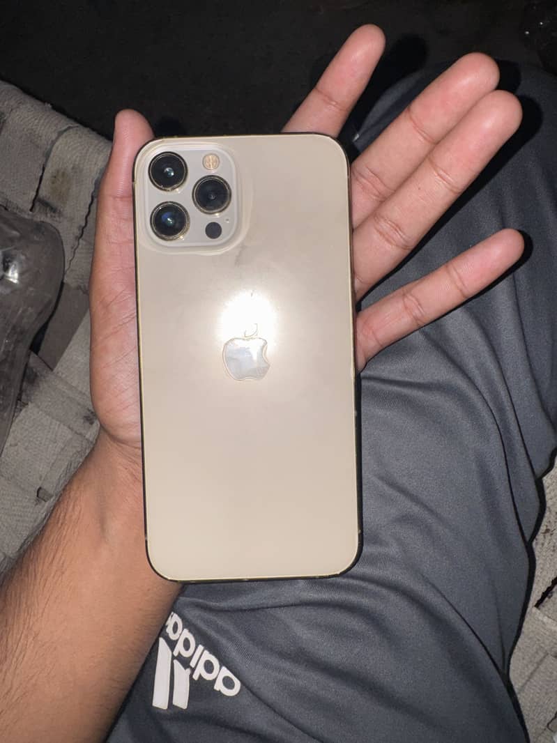 Apple iPhone 12 Pro Max 0