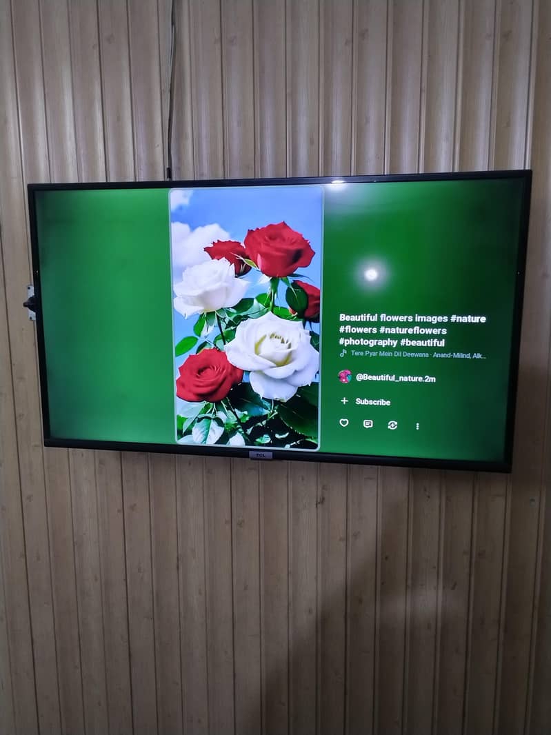 TCL LED 3