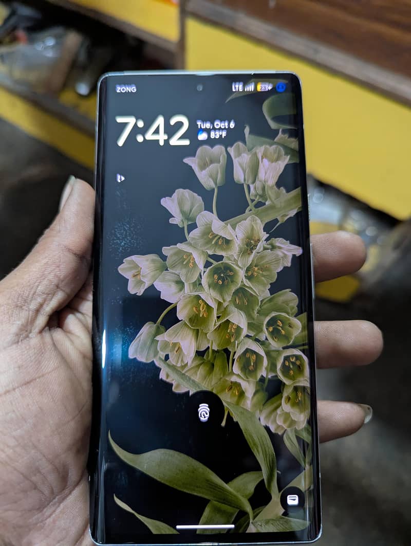 Pixel 6 pro Panel change 1