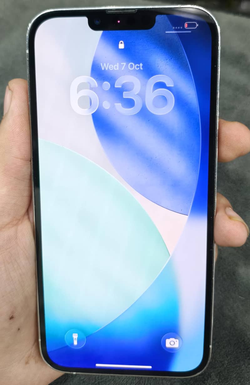 Apple iPhone 13 Pro Max 1