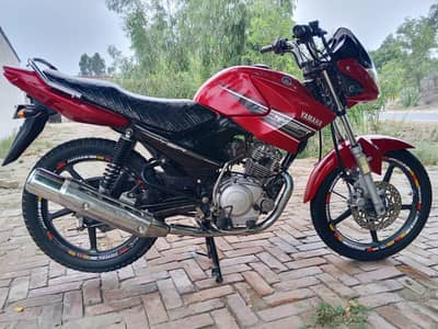 YBR 125 ( total genuine)