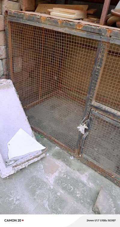Hen cage and parrot cage good condition 0,3,1,3,4,1,1,6,9,8,4