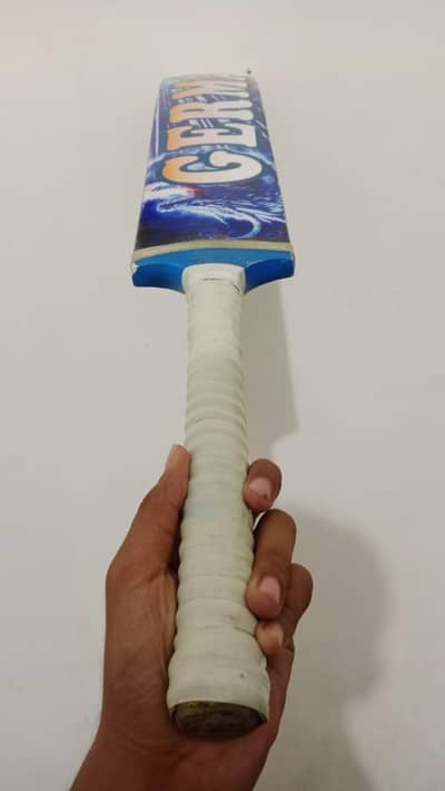cricket bat