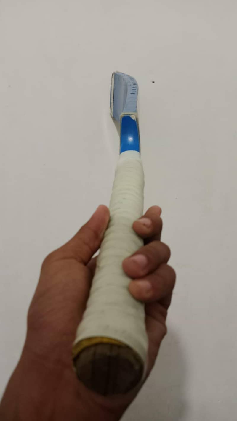 cricket bat 1