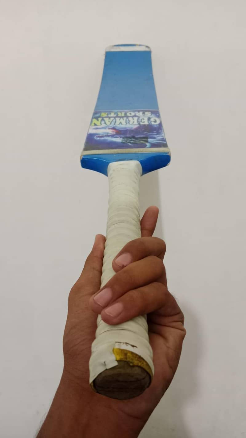 cricket bat 2